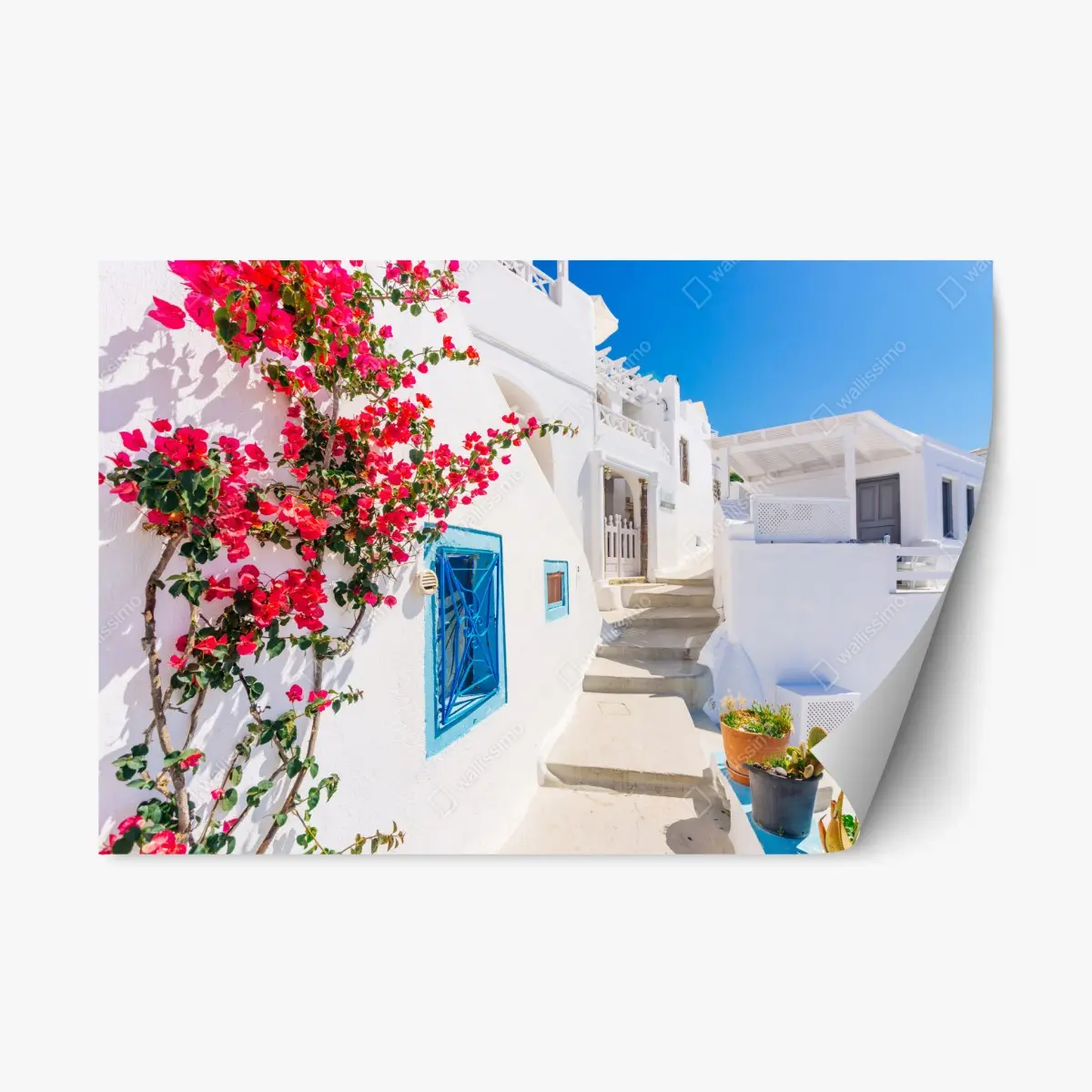 Repositionierbarer Aufkleber Santorini weiße gasse mit bougainvillea – Pixers®