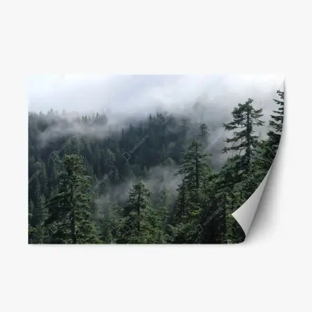 Repositionierbarer Aufkleber nebliger wald vom Larch Mount, Oregon – Pixers®