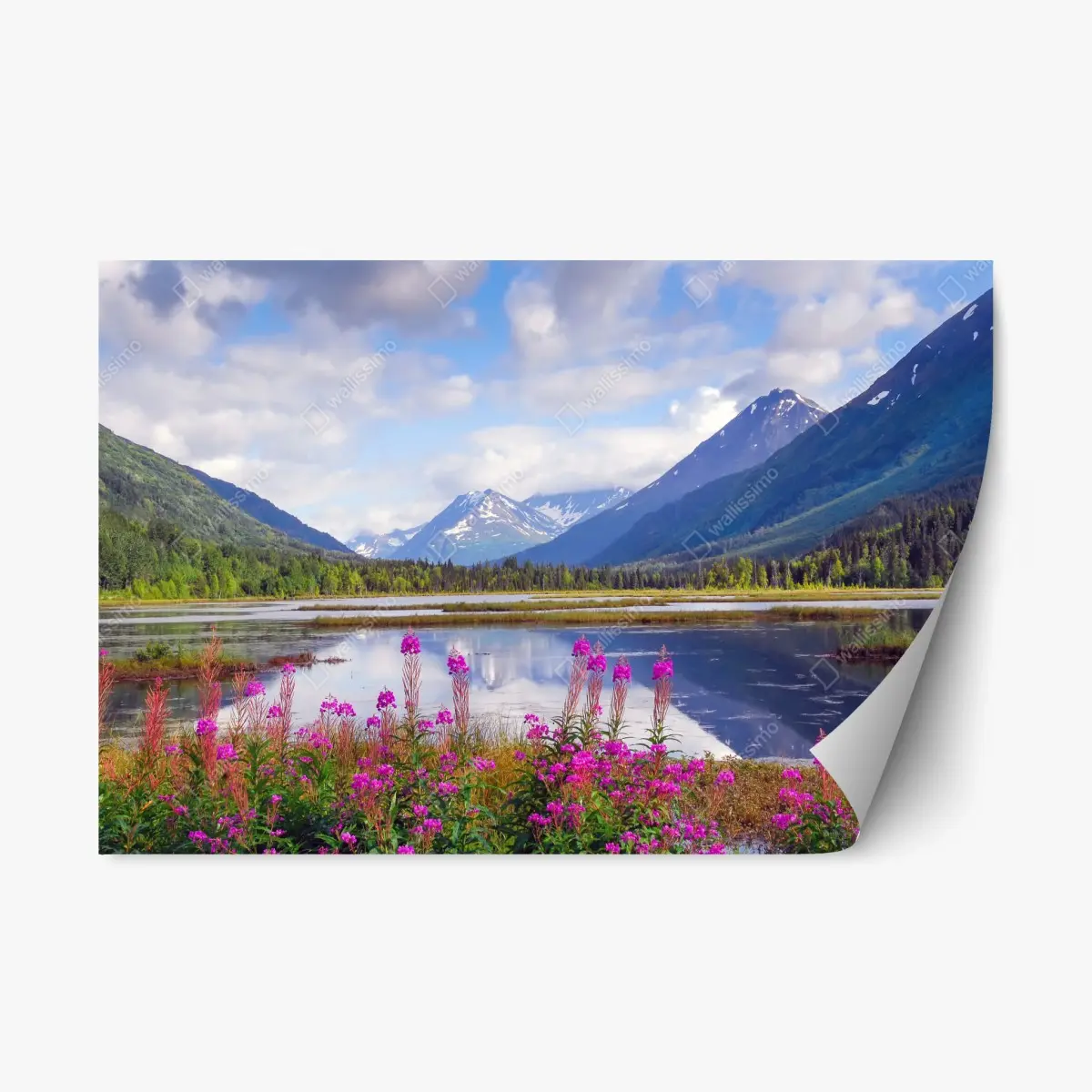 Repositionierbarer Aufkleber Tern Lake spiegelungen, berglandschaft aus Alaska – Pixers®