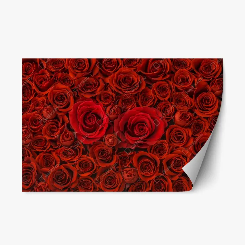 Repositionierbarer Aufkleber prunkvolle collage roter rosen