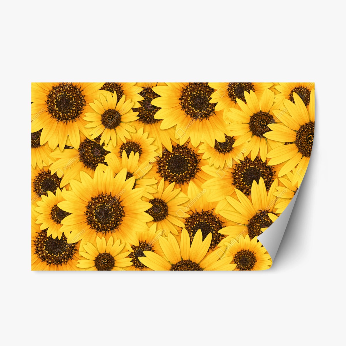 Repositionierbarer Aufkleber goldene sonnenblumen – Pixers®