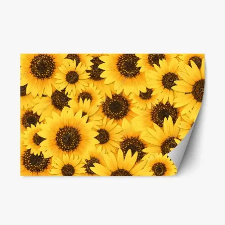 Repositionierbarer Aufkleber goldene sonnenblumen – Pixers®