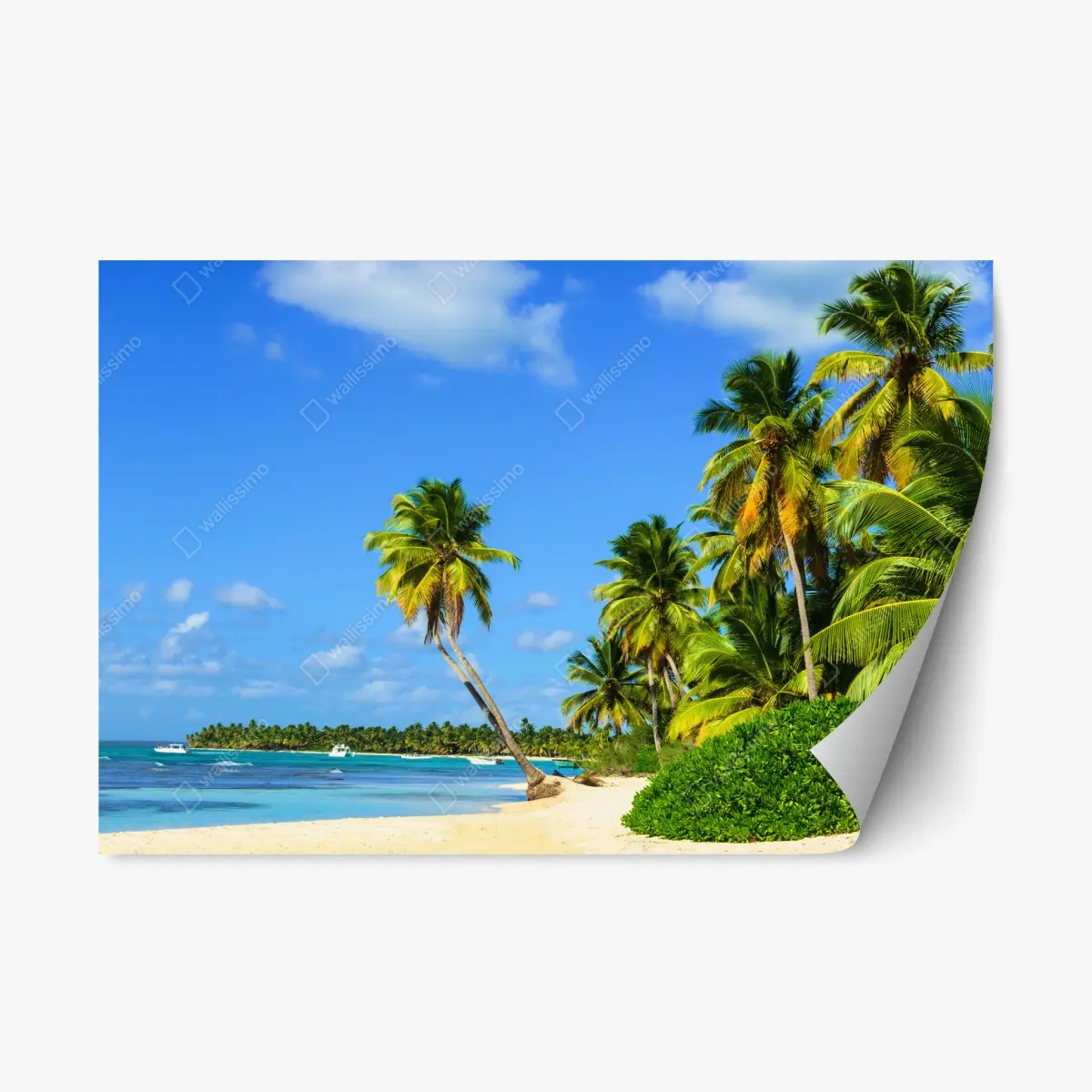 Repositionierbarer Aufkleber tropischer palmenstrand – Pixers®