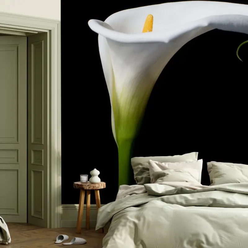 Fototapete elegante weiße calla auf schwarzem hintergrund