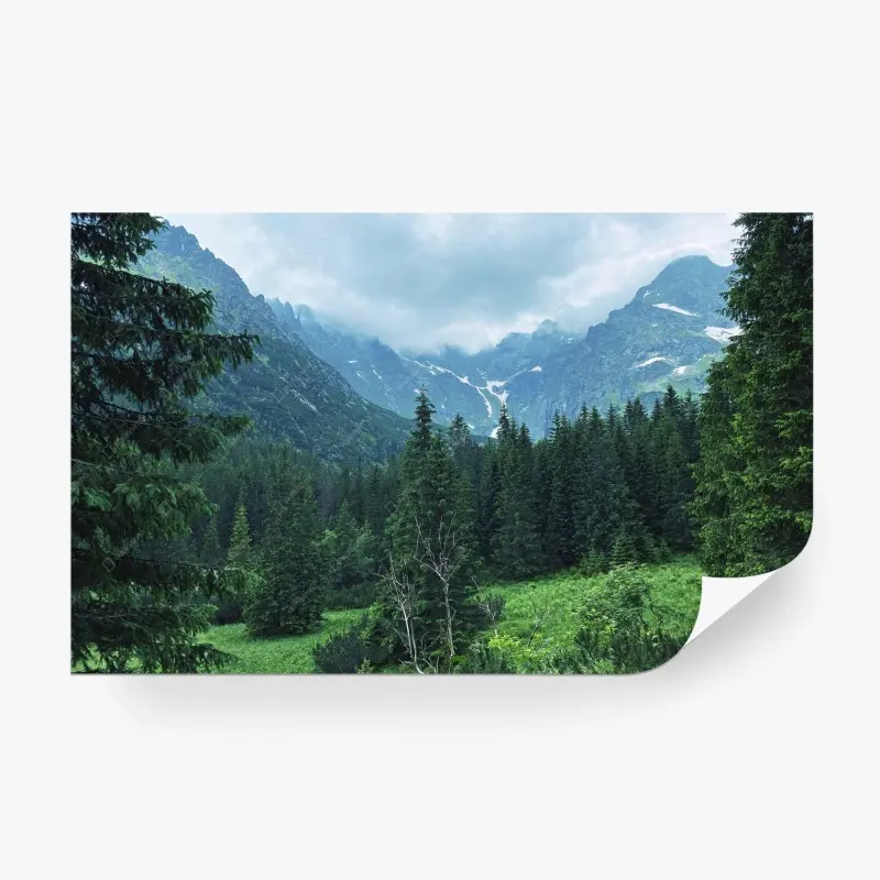 Fototapete ruhige berglandschaft mit wald
