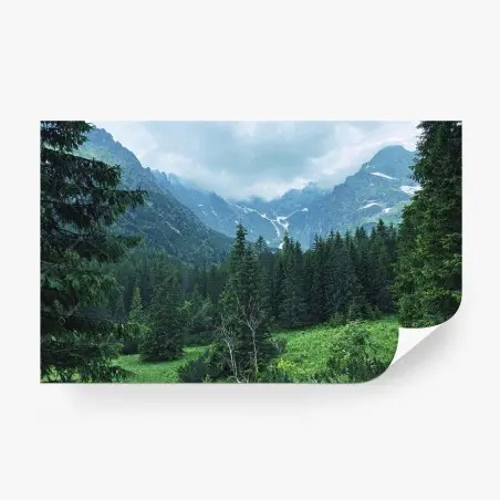 Fototapete ruhige berglandschaft mit wald – Pixers®