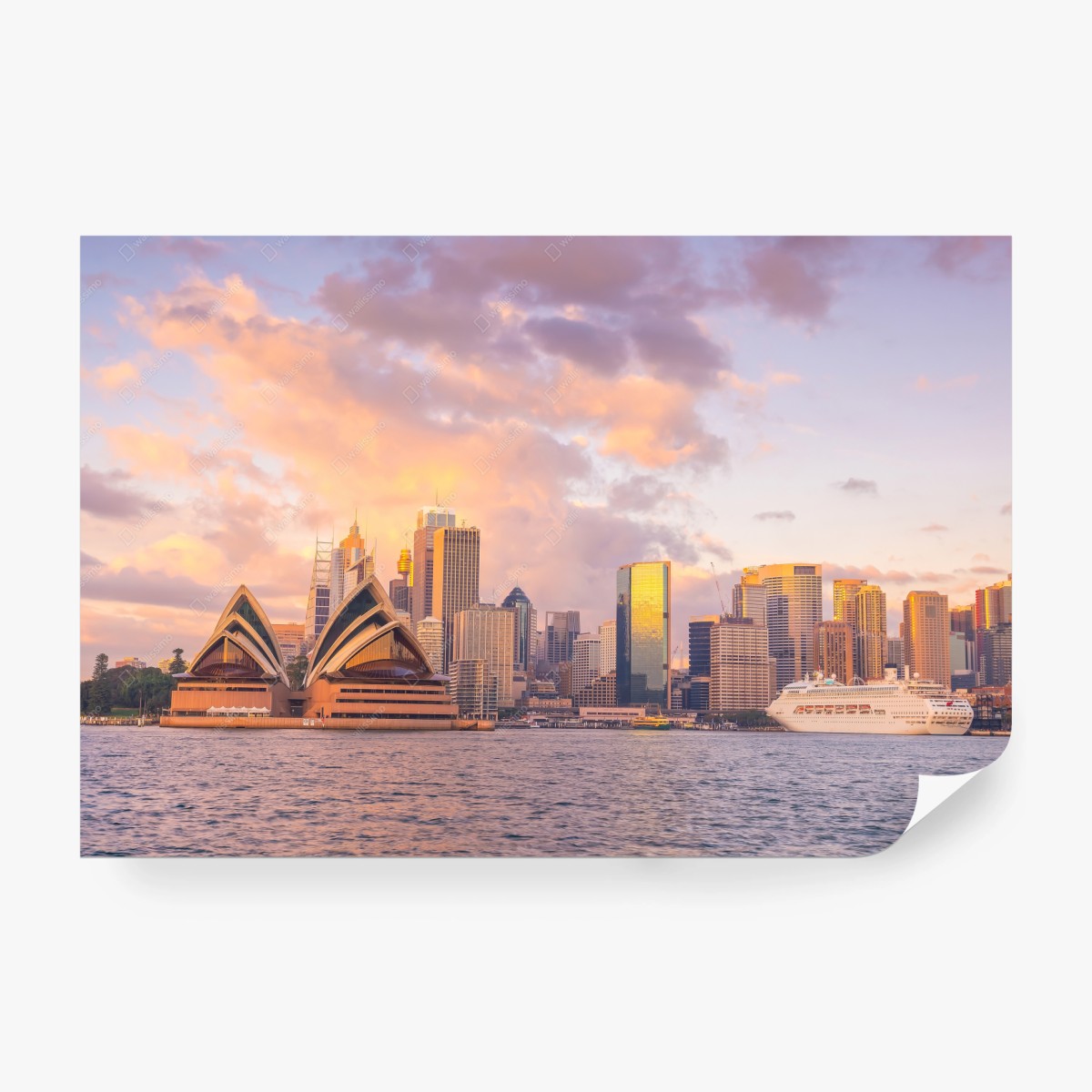 Fototapete panorama Sydney bei sonnenuntergang – Pixers®