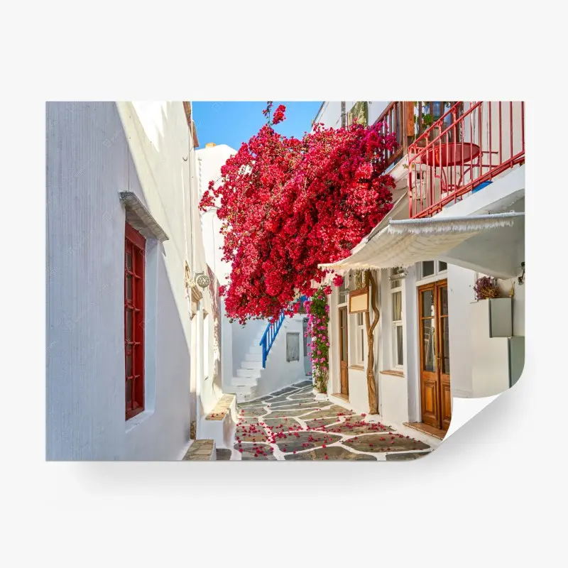 Fototapete sonnige mediterrane gasse mit bougainvillea