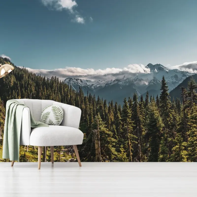 Fototapete majestätische alpine waldlandschaft