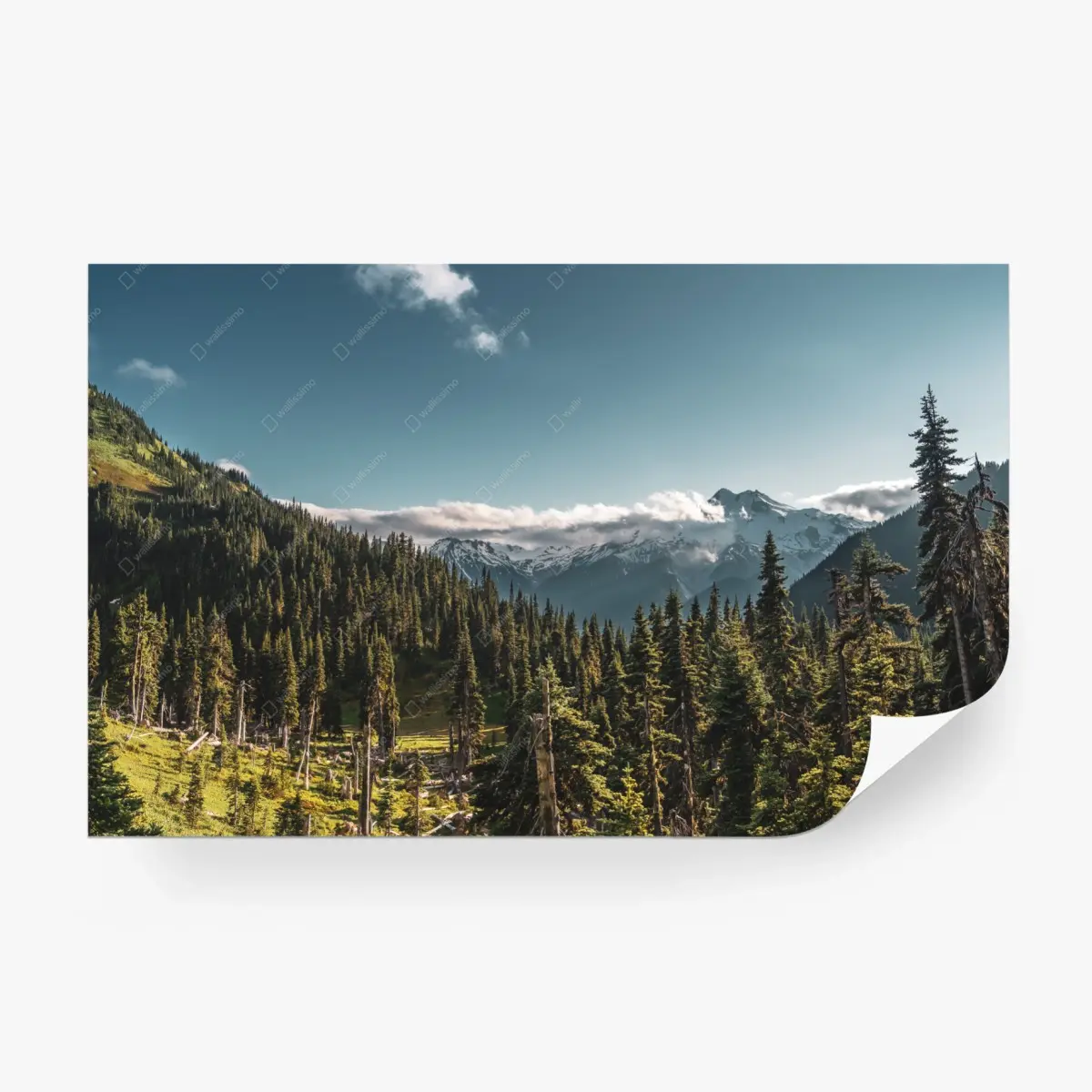 Fototapete majestätische alpine waldlandschaft – Pixers®