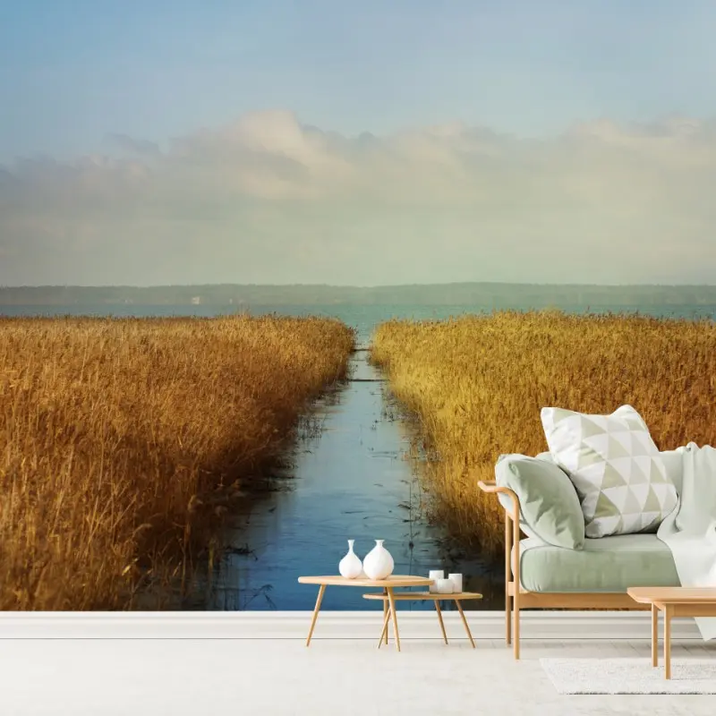 Fototapete goldenes schilf und ruhiger wasserweg