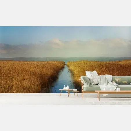 Fototapete goldenes schilf und ruhiger wasserweg – Pixers®