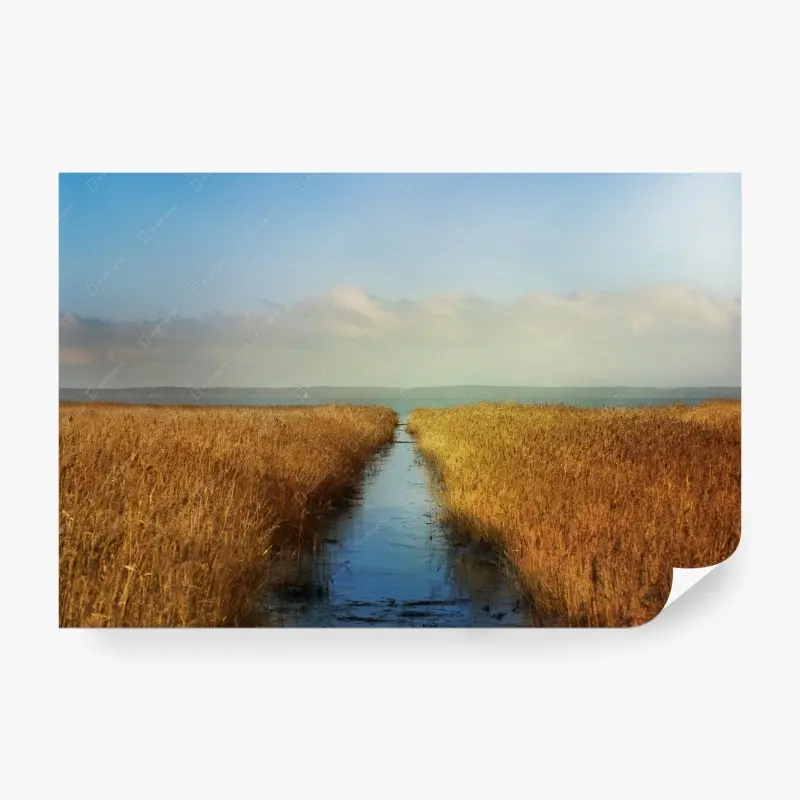 Fototapete goldenes schilf und ruhiger wasserweg