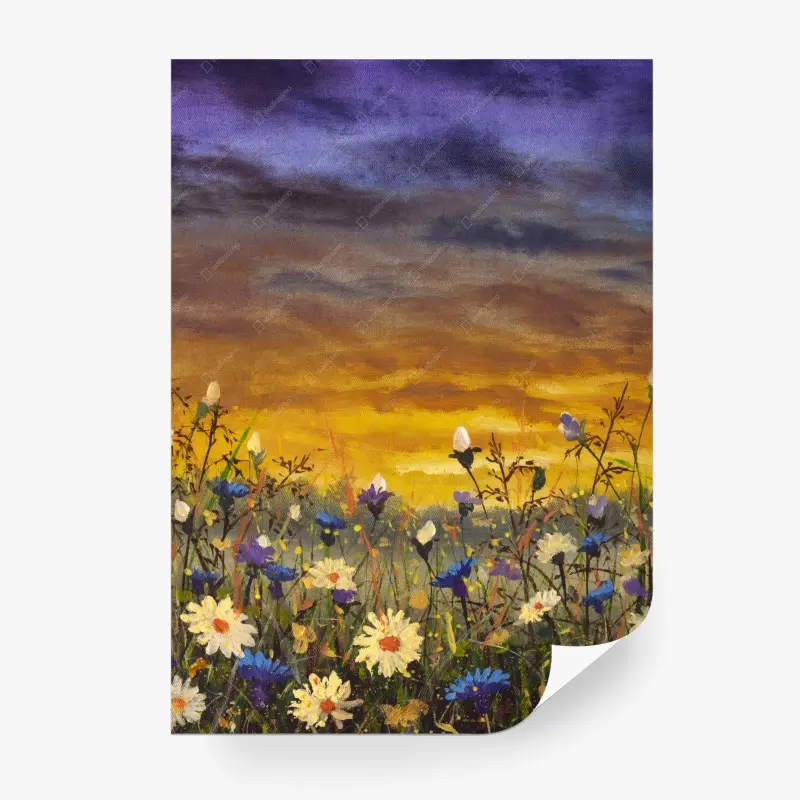 Fototapete sonnenuntergang auf einer wildblumenwiese mit gänseblümchen und kornblumen