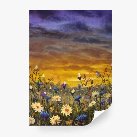 Fototapete sonnenuntergang auf einer wildblumenwiese mit gänseblümchen und kornblumen – Pixers®