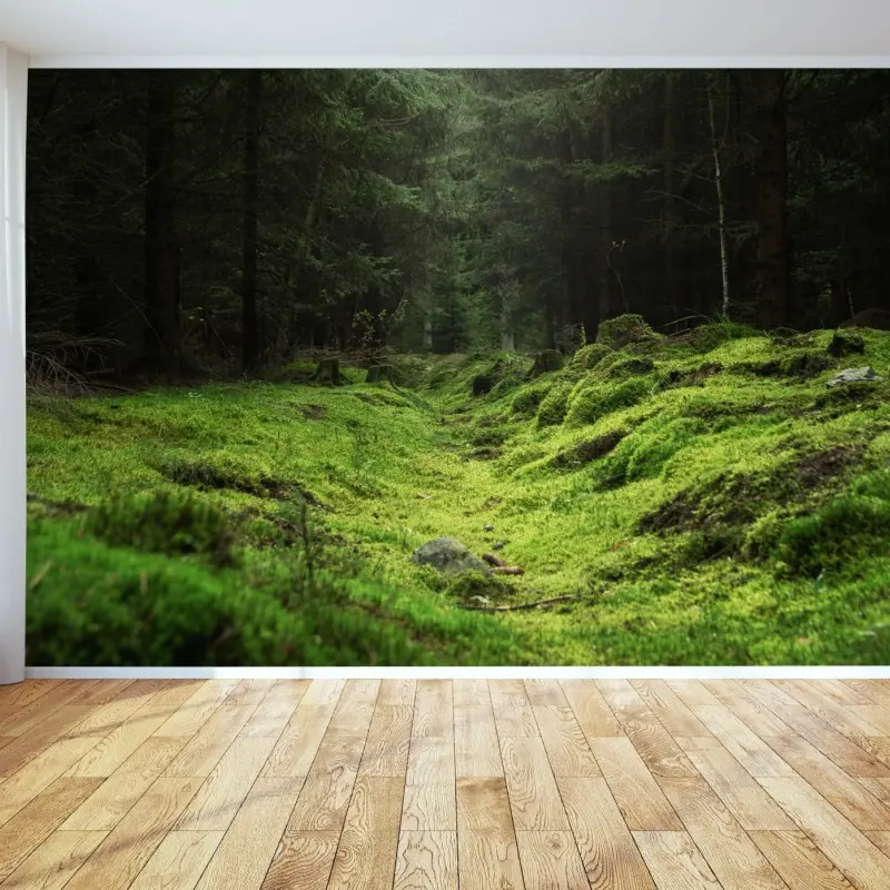 Fototapete moosiger waldpfad