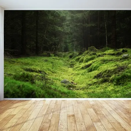Fototapete moosiger waldpfad