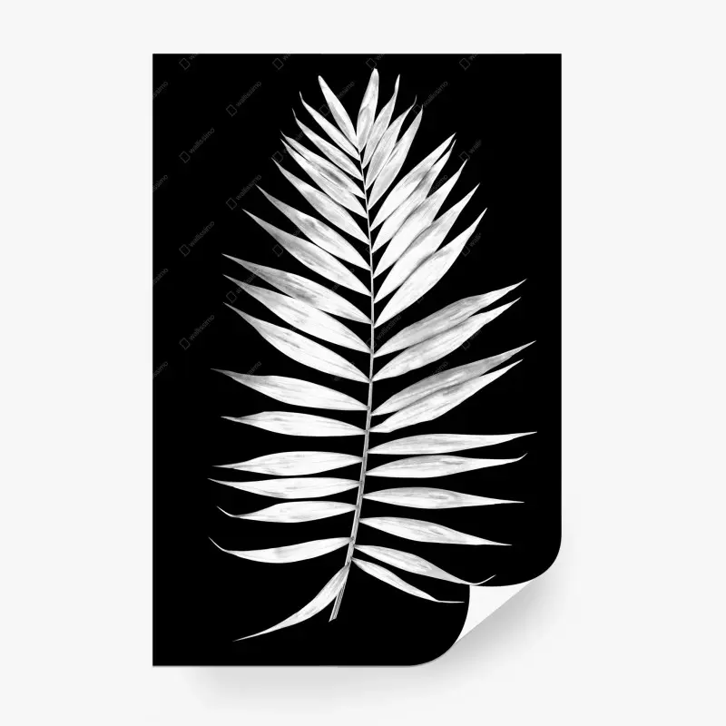 Fototapete monochromes palmblatt
