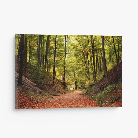 Leinwandbild herbstlicher waldweg unter grünem blätterdach – Pixers®