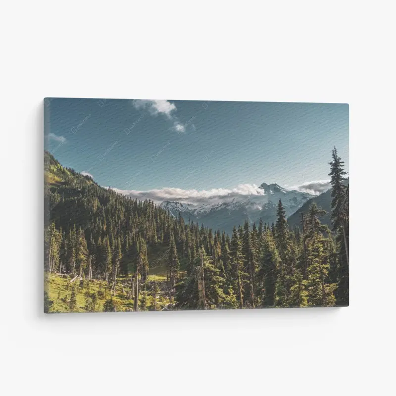 Leinwandbild majestätische alpine waldlandschaft