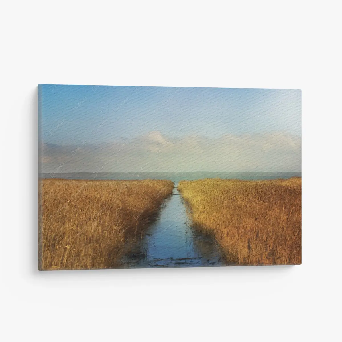 Leinwandbild goldenes schilf und ruhiger wasserweg – Pixers®