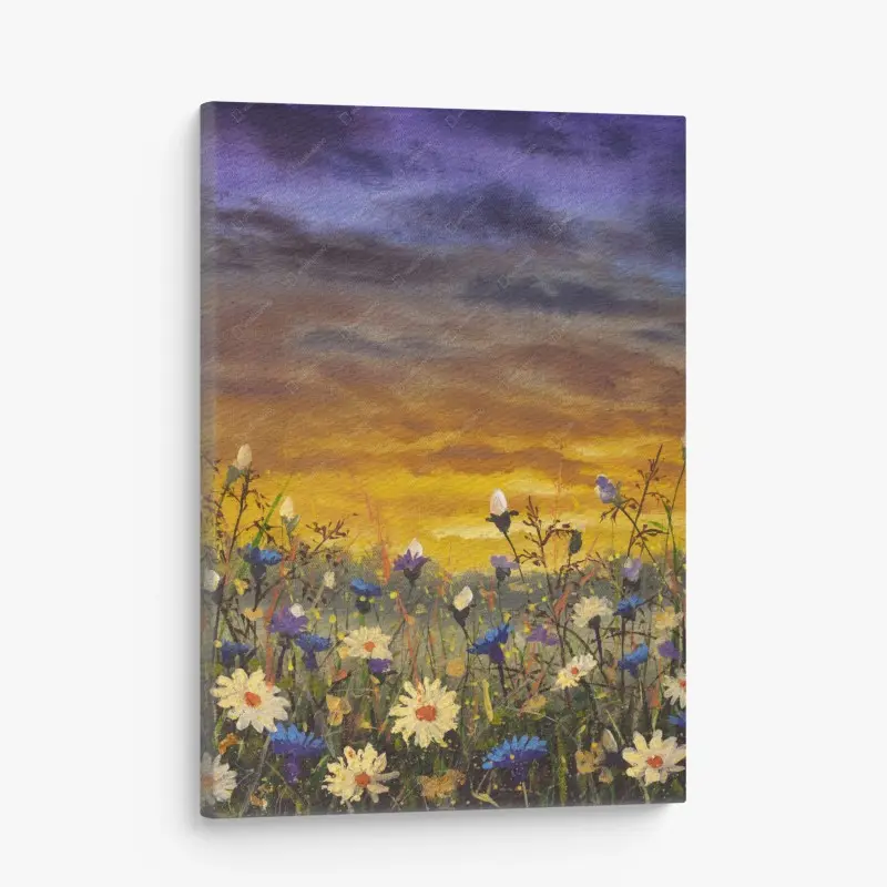 Leinwandbild sonnenuntergang auf einer wildblumenwiese mit gänseblümchen und kornblumen