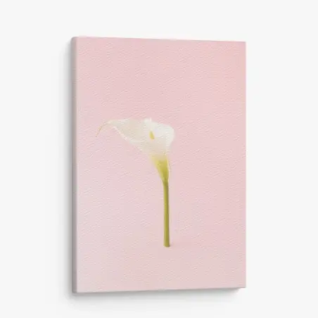 Leinwandbild elegante weiße calla auf pastellrosa – Pixers®