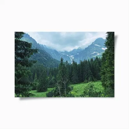 Poster ruhige berglandschaft mit wald – Pixers®
