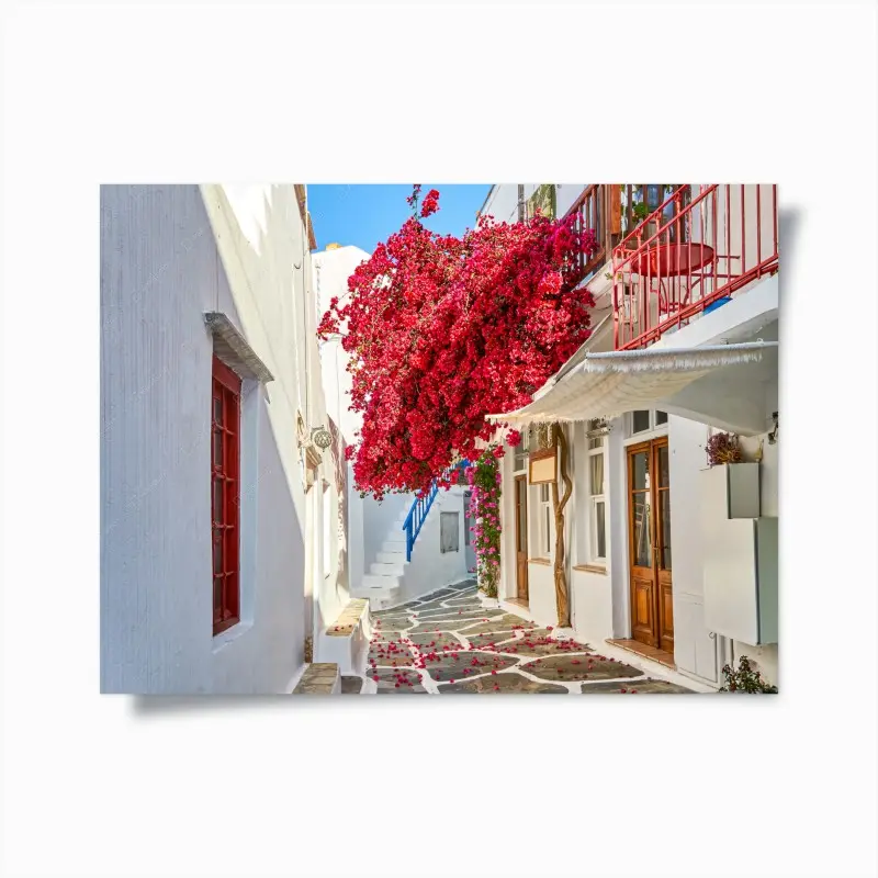 Poster sonnige mediterrane gasse mit bougainvillea