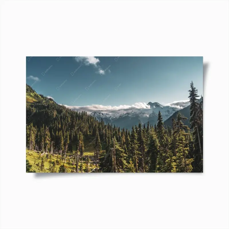 Poster majestätische alpine waldlandschaft