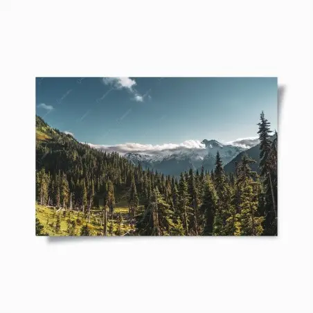 Poster majestätische alpine waldlandschaft – Pixers®