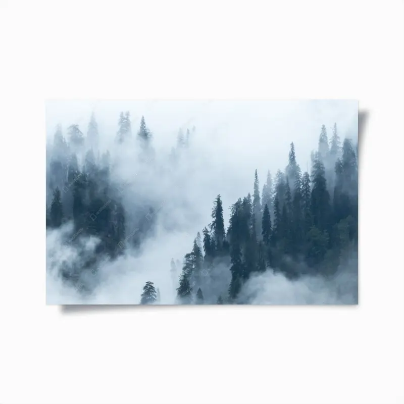 Poster nebliger kiefernwald