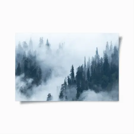 Poster nebliger kiefernwald – Pixers®