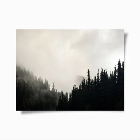 Poster nebliger nadelwald – Pixers®