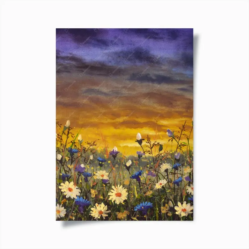 Poster sonnenuntergang auf einer wildblumenwiese mit gänseblümchen und kornblumen