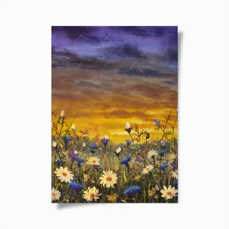 Poster sonnenuntergang auf einer wildblumenwiese mit gänseblümchen und kornblumen – Pixers®