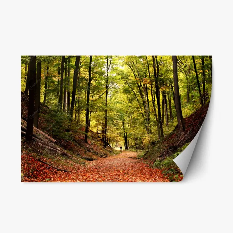 Repositionierbarer Aufkleber herbstlicher waldweg unter grünem blätterdach