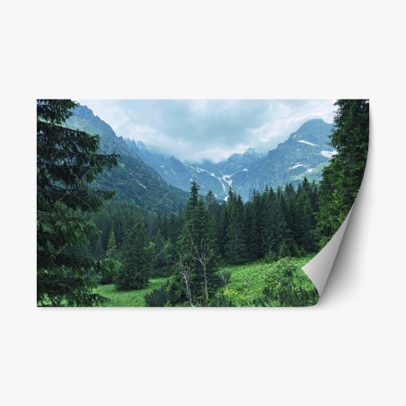 Repositionierbarer Aufkleber ruhige berglandschaft mit wald – Pixers®