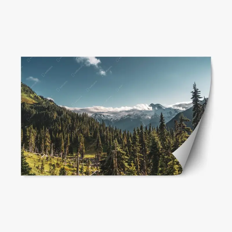 Repositionierbarer Aufkleber majestätische alpine waldlandschaft