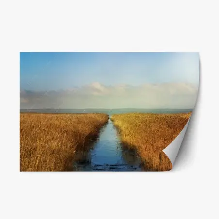 Repositionierbarer Aufkleber goldenes schilf und ruhiger wasserweg – Pixers®