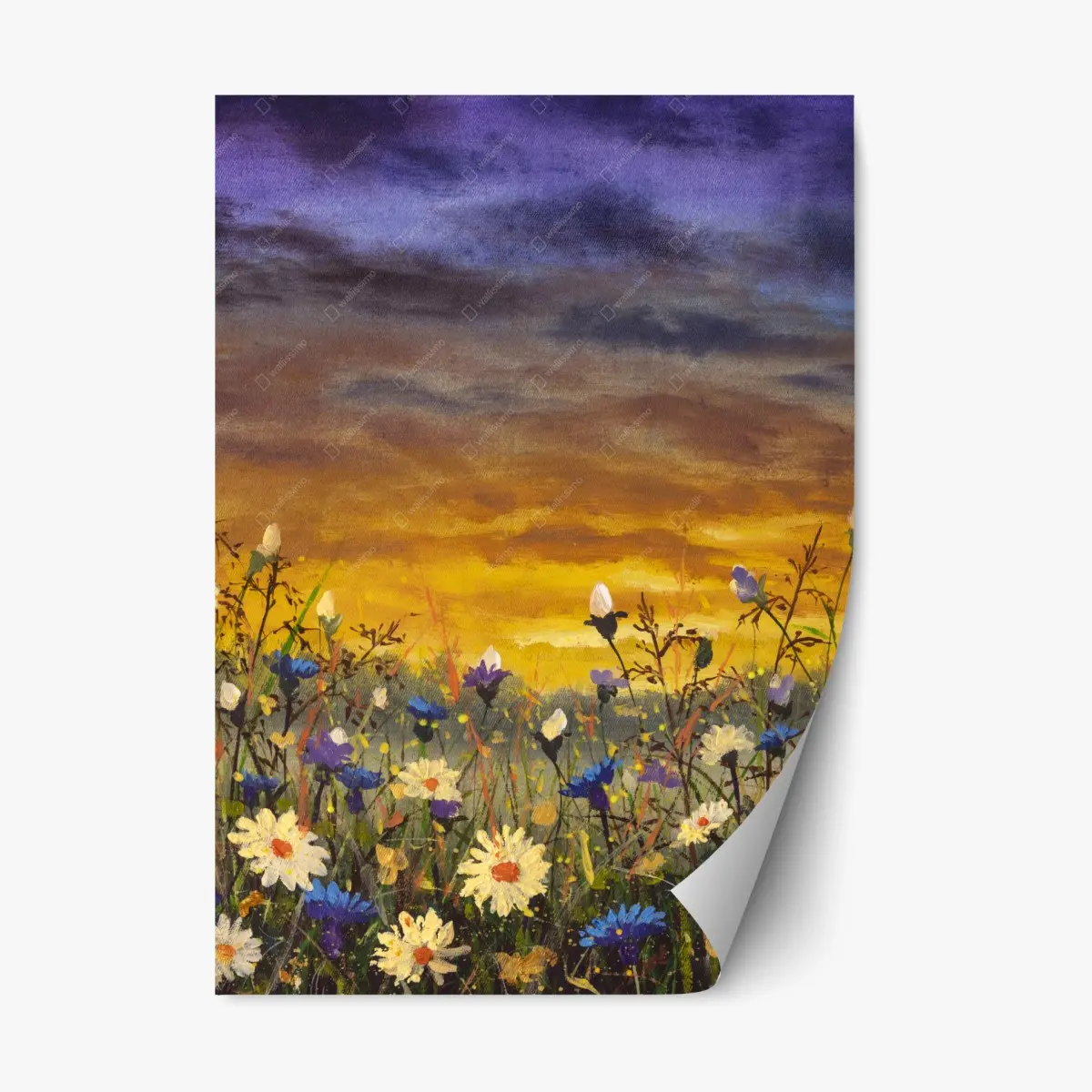 Repositionierbarer Aufkleber sonnenuntergang auf einer wildblumenwiese mit gänseblümchen und kornblumen – Pixers®