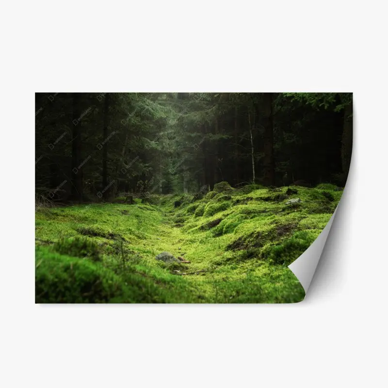 Repositionierbarer Aufkleber moosiger waldpfad