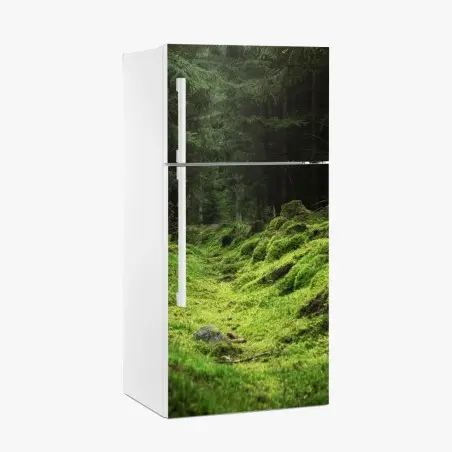 Kühlschrankaufkleber moosiger waldpfad – Pixers®