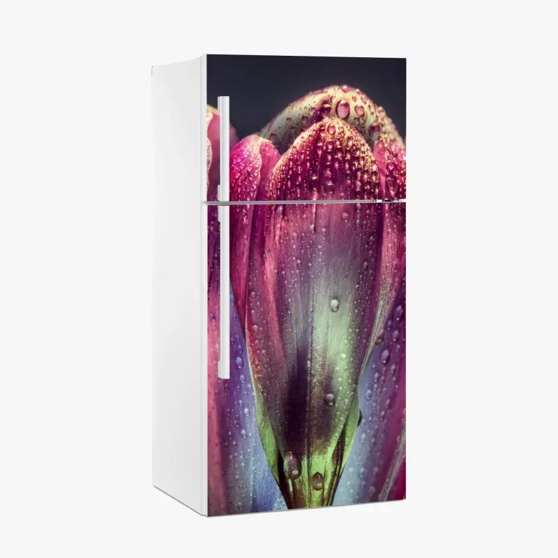 Kühlschrankaufkleber lila taubedeckte tulpen nahaufnahme