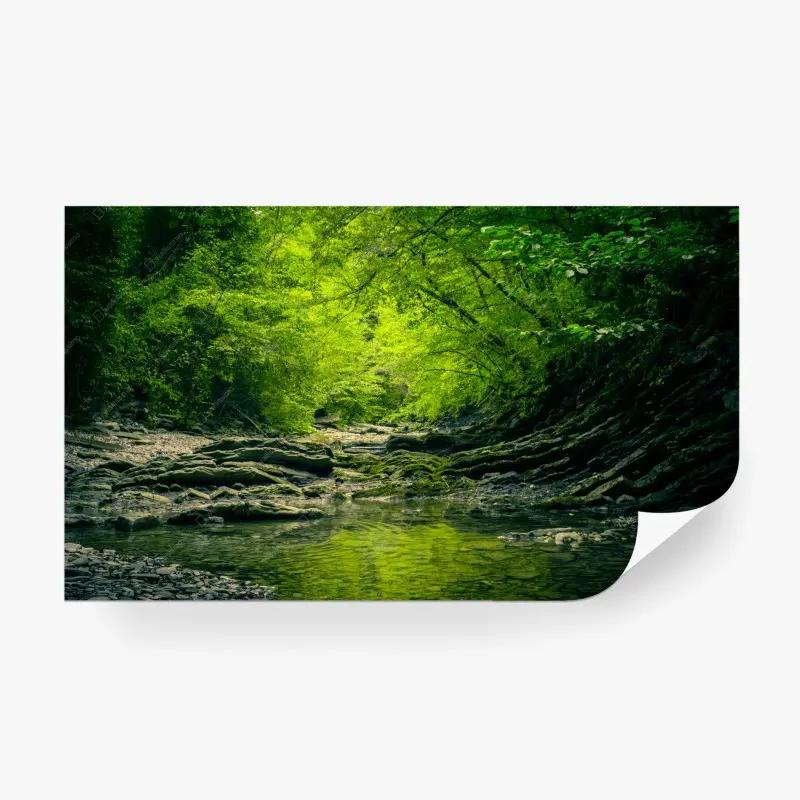 Fototapete üppiger grüner waldbach mit spiegelung