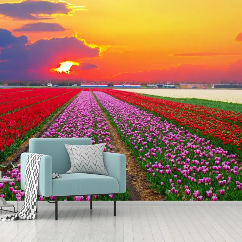 Fototapete leuchtende tulpenfelder im sonnenuntergang