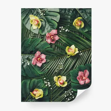 Fototapete tropisches orchideen- und monstera-motiv – Pixers®