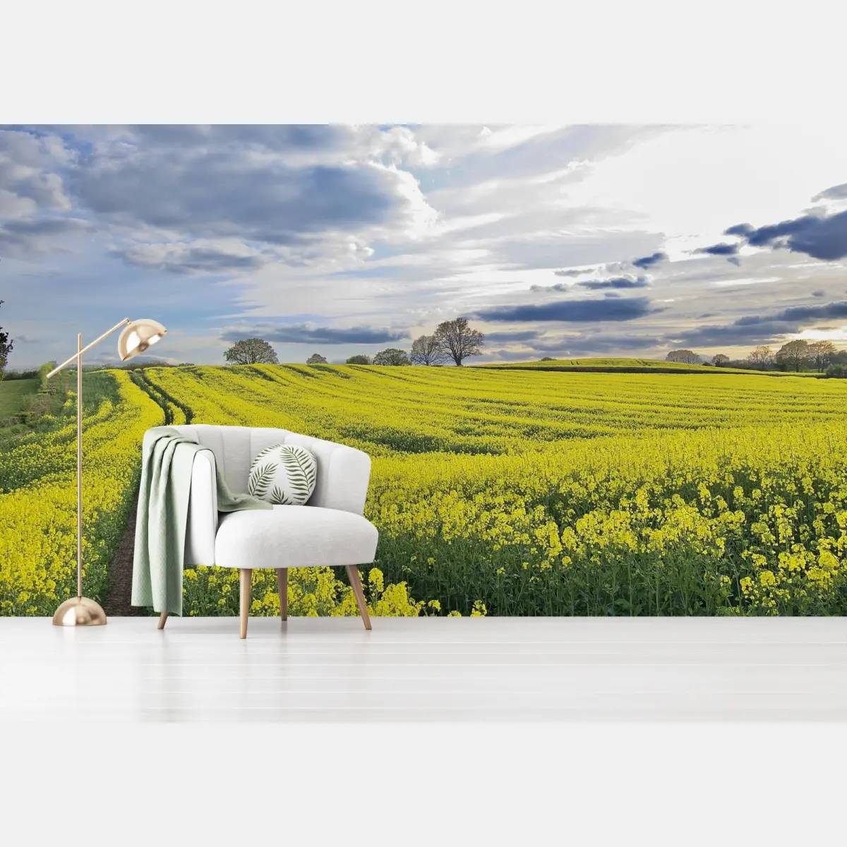 Fototapete goldenes rapsfeld unter dramatischem himmel – Pixers®