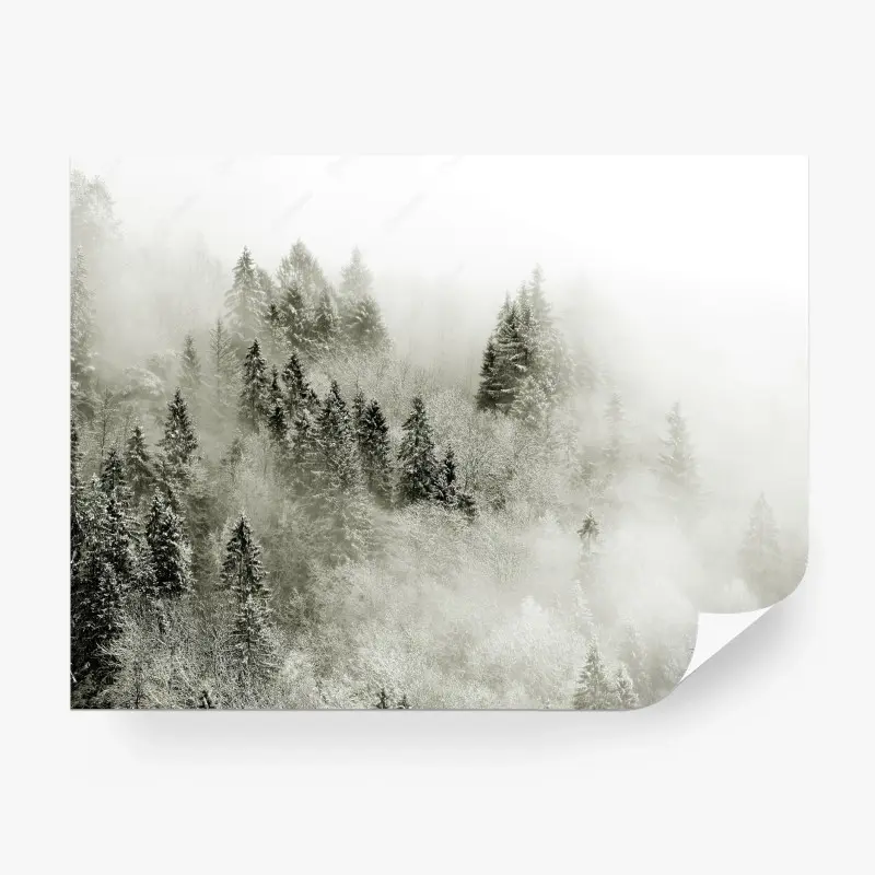 Fototapete nebliger winterwald in monochrom