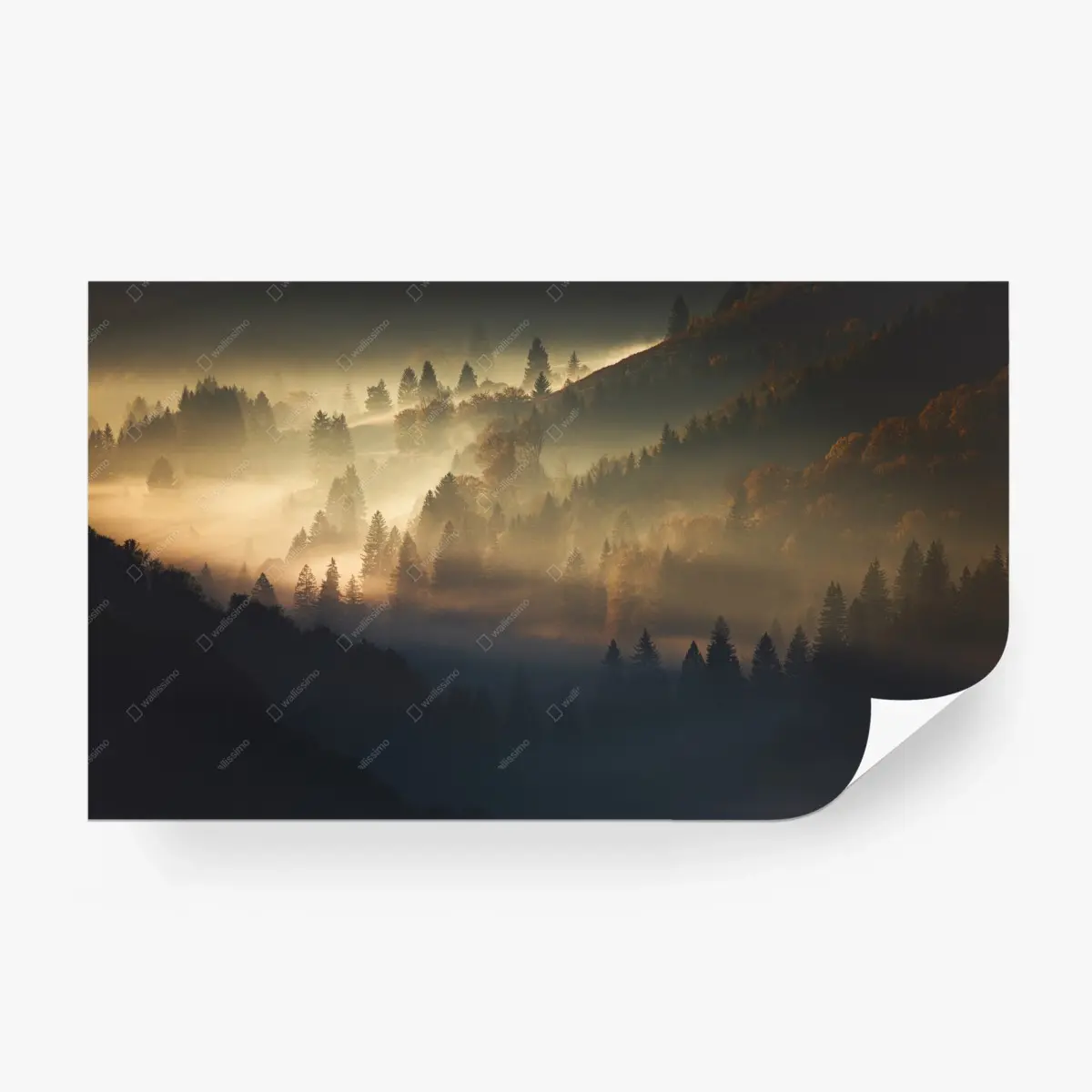 Fototapete goldener nebel über bergwald – Pixers®